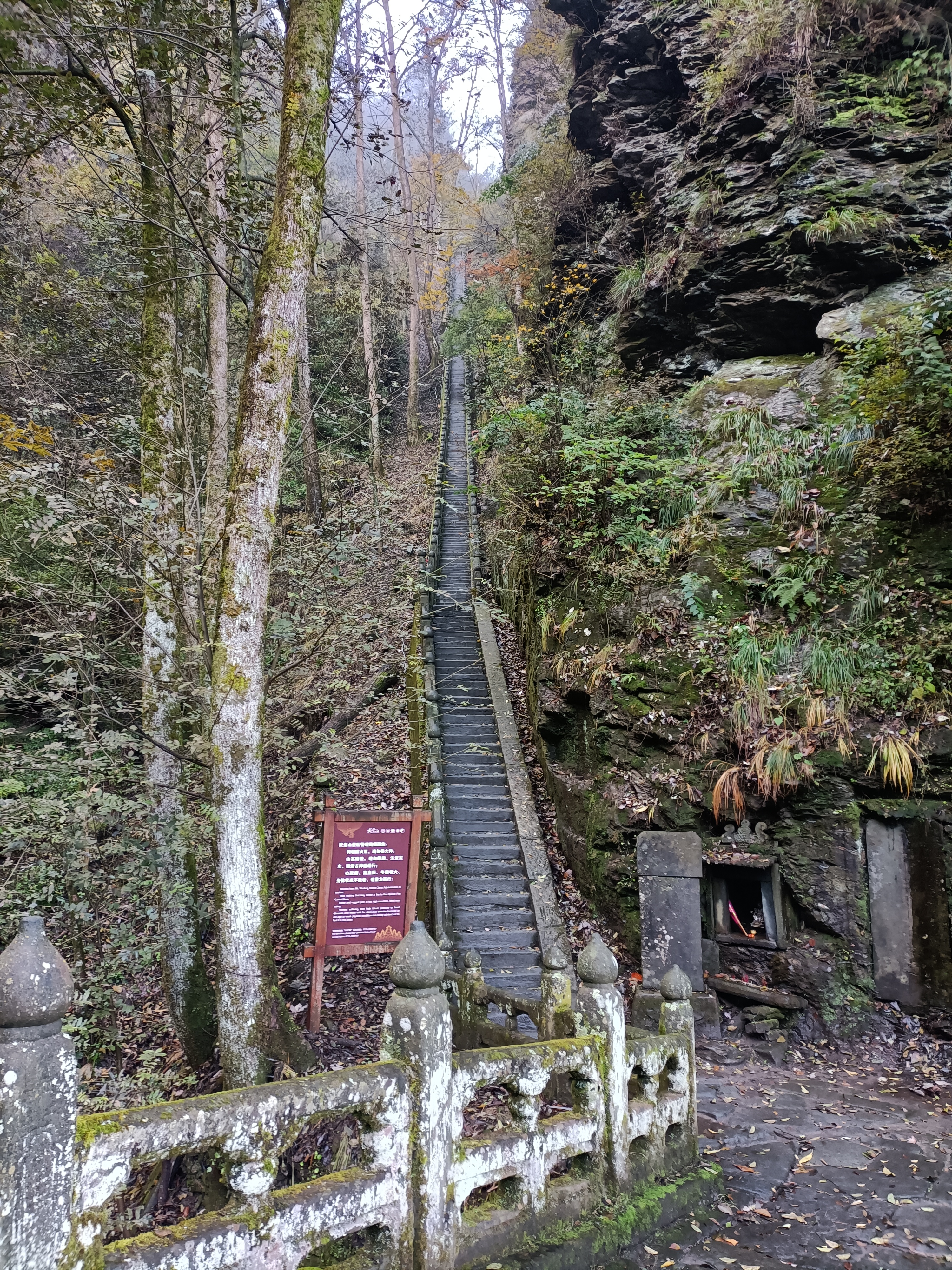 Pic 5. A sample of the main stairs to climb Wudang Mountain